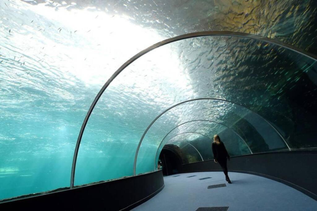 La Perle Marine :Boulogne Sur Mer Экстерьер фото